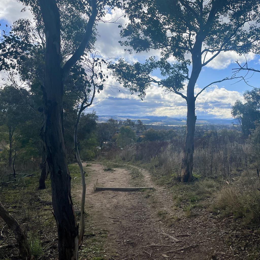A trail through some light-density bush overlooking south Canberra