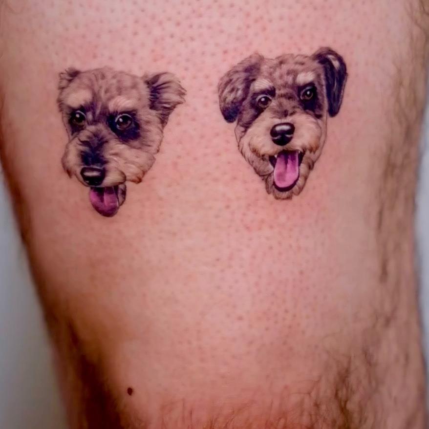 A close up picture of a leg with a tattoo of 2 schnoodle dogs just above the knee