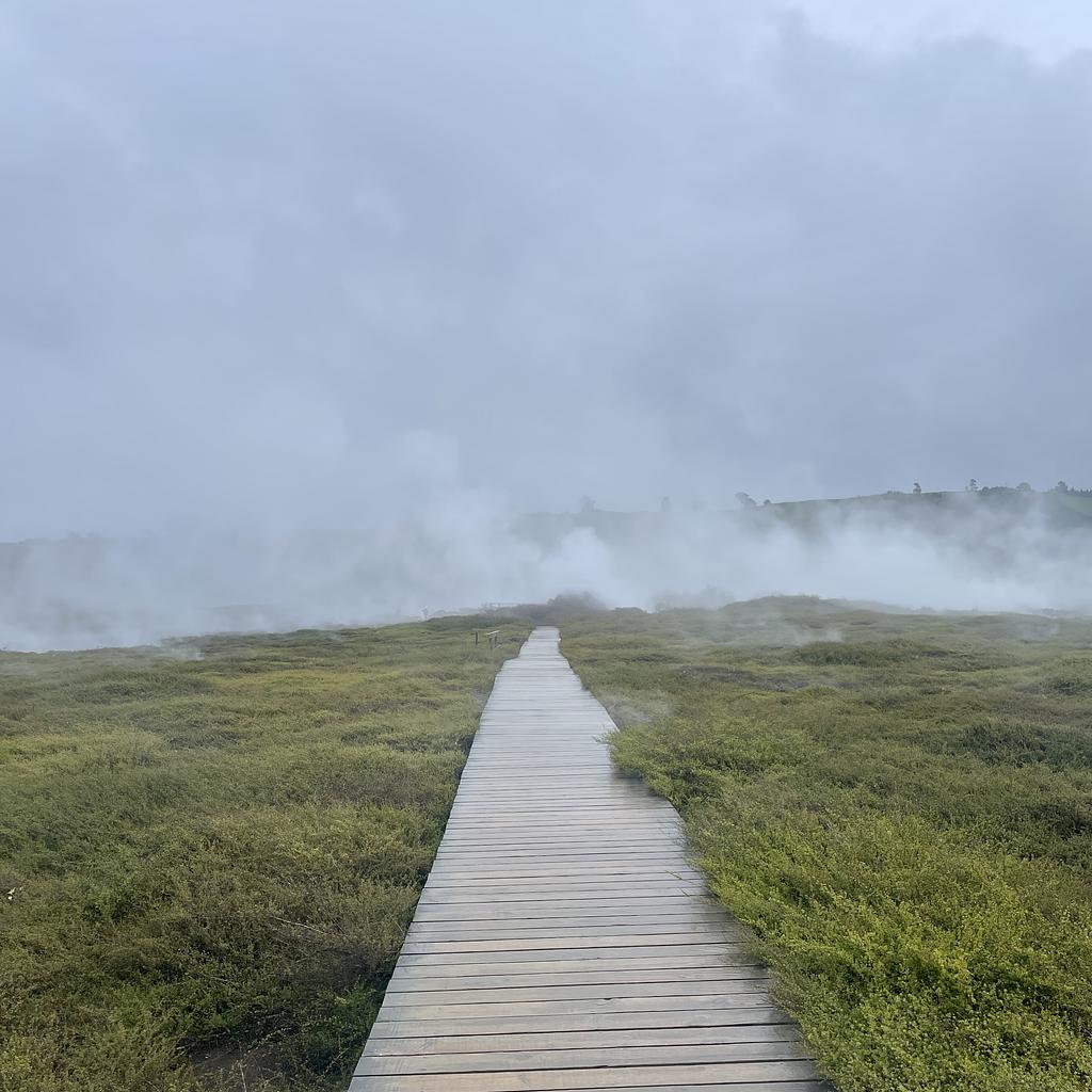 A walkway disappearing amongst a sulphurous mist