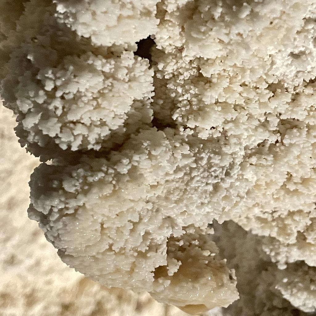A closeup of a stone formation that looks like coral