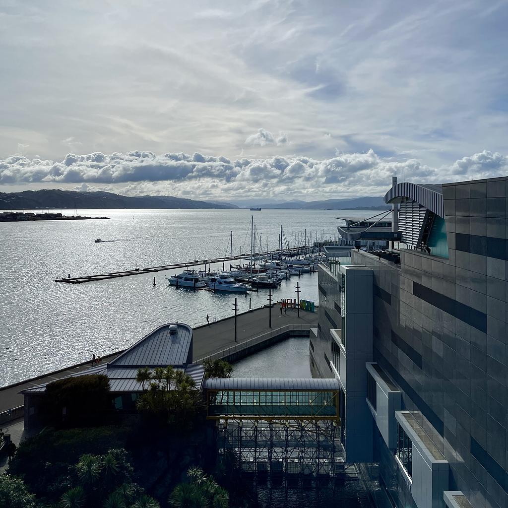 A view of Wellington from Te Papa