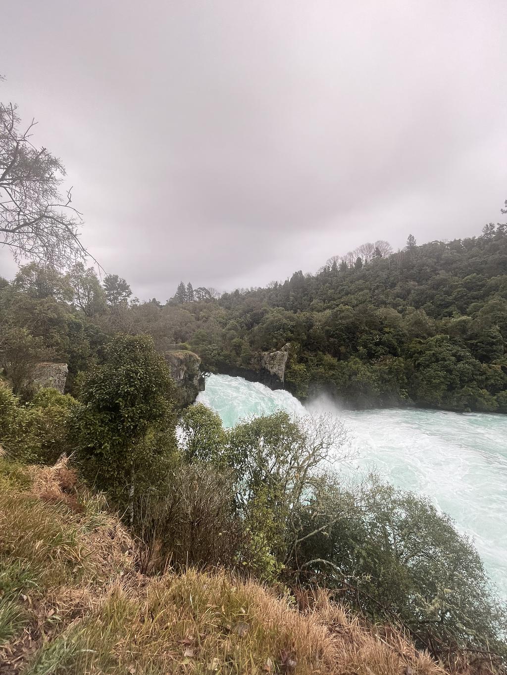 Huka falls, a waterfall partly obscured by a tree