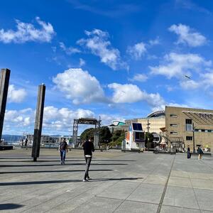 The Wellington waterfront with Te Papa in the distance 